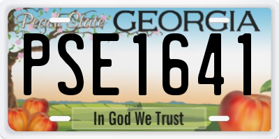 GA license plate PSE1641