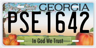 GA license plate PSE1642