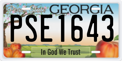 GA license plate PSE1643