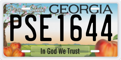 GA license plate PSE1644