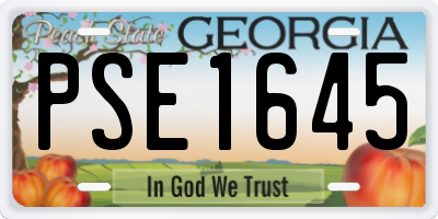 GA license plate PSE1645
