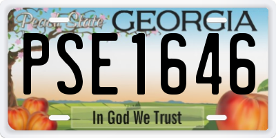 GA license plate PSE1646