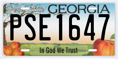 GA license plate PSE1647