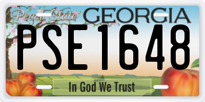 GA license plate PSE1648