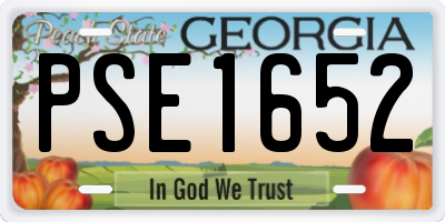 GA license plate PSE1652