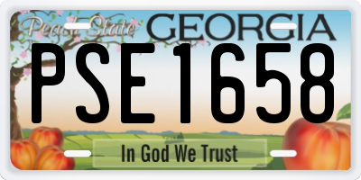 GA license plate PSE1658