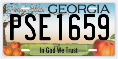 GA license plate PSE1659