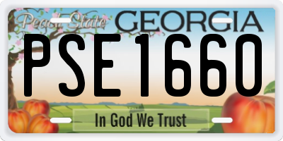 GA license plate PSE1660