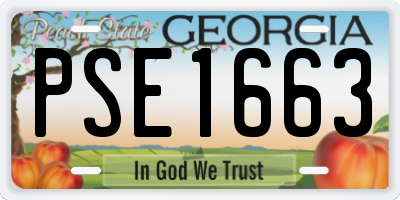GA license plate PSE1663