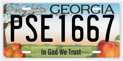 GA license plate PSE1667