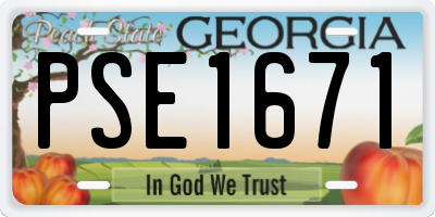 GA license plate PSE1671