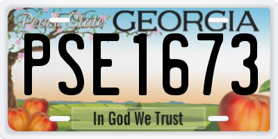 GA license plate PSE1673