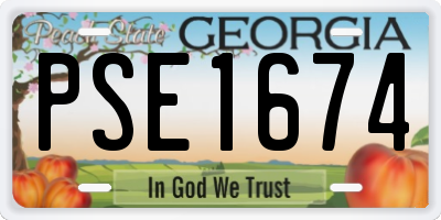 GA license plate PSE1674