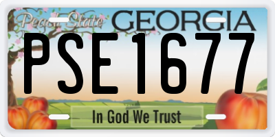 GA license plate PSE1677