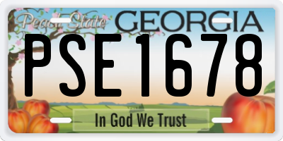 GA license plate PSE1678