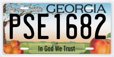GA license plate PSE1682