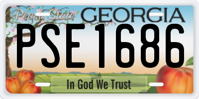 GA license plate PSE1686