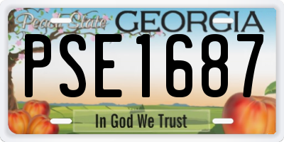 GA license plate PSE1687