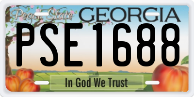 GA license plate PSE1688