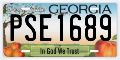 GA license plate PSE1689