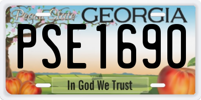 GA license plate PSE1690