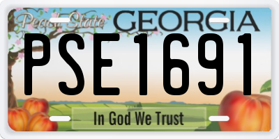 GA license plate PSE1691