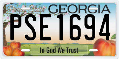 GA license plate PSE1694