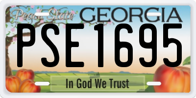 GA license plate PSE1695
