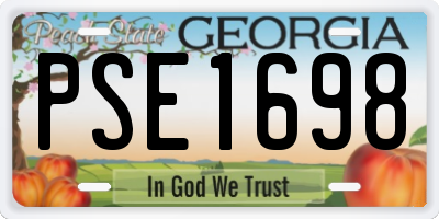 GA license plate PSE1698