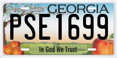 GA license plate PSE1699