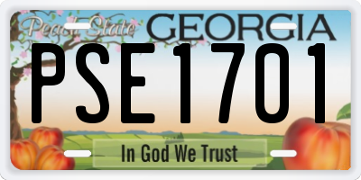 GA license plate PSE1701