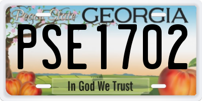 GA license plate PSE1702