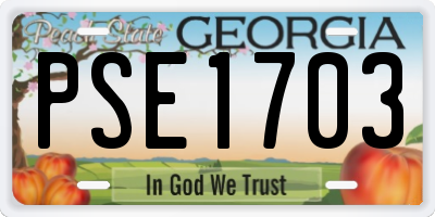 GA license plate PSE1703