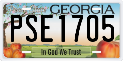 GA license plate PSE1705