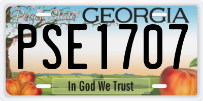 GA license plate PSE1707