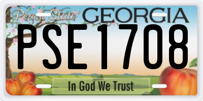 GA license plate PSE1708