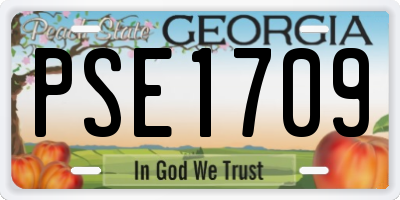 GA license plate PSE1709