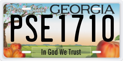 GA license plate PSE1710