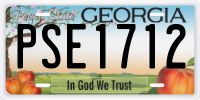 GA license plate PSE1712