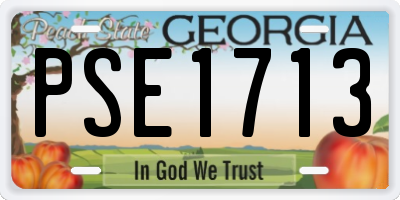 GA license plate PSE1713