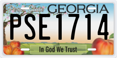 GA license plate PSE1714