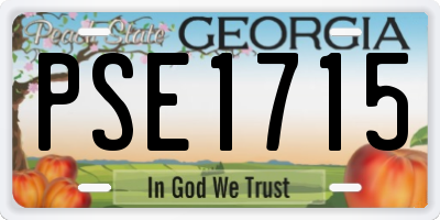 GA license plate PSE1715