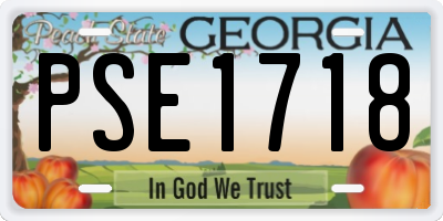 GA license plate PSE1718