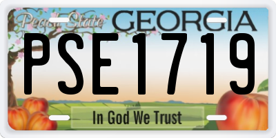 GA license plate PSE1719