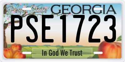 GA license plate PSE1723