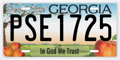 GA license plate PSE1725