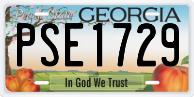 GA license plate PSE1729