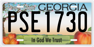 GA license plate PSE1730