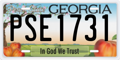 GA license plate PSE1731