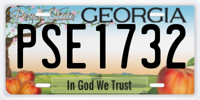 GA license plate PSE1732